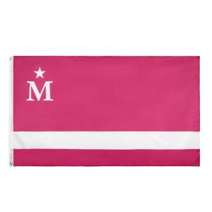 Quality Fade Resistant Pink M 70g Polyester Rectangle Banner Flags 90x150cm wholesale