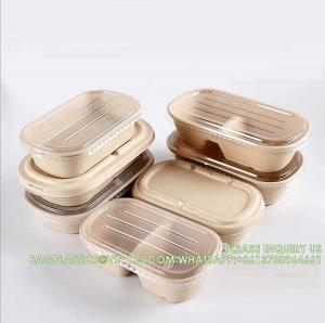 Quality Wholesale Sugarcane Bagasse Pulp Lunch Box Takeaway Food Container Diaposiable Recyclable Sugarcane Packaging Box wholesale