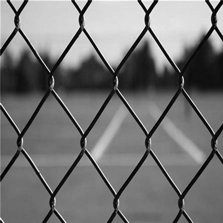Diamond Wire Netting PVC Chain Link Fence Galvanised For Seaside