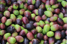 Brown Green Glass Optical Color Sorter for Ceramic Stone Impurity Removal