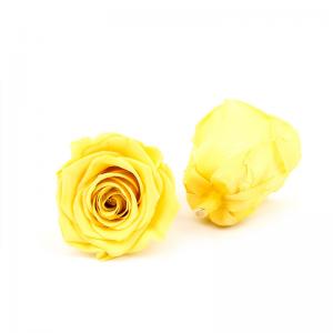 Quality Immortal Diameter 5-6cm Preserved Rose Flower For Mothers Day wholesale
