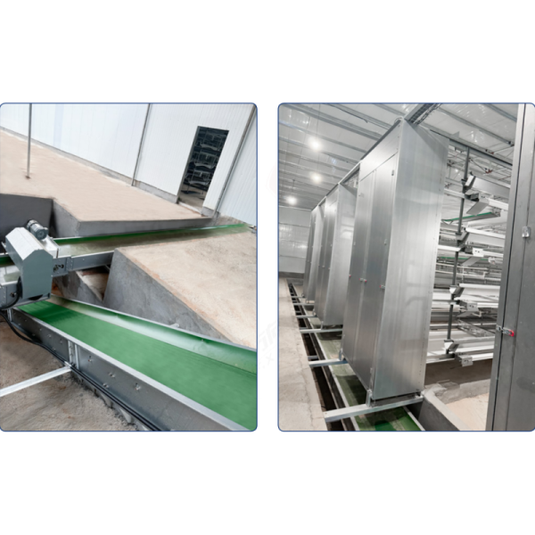 Sturdy Durable Manure Treatment Equipment No Belt Deviation Low Noise No Chicken Stress