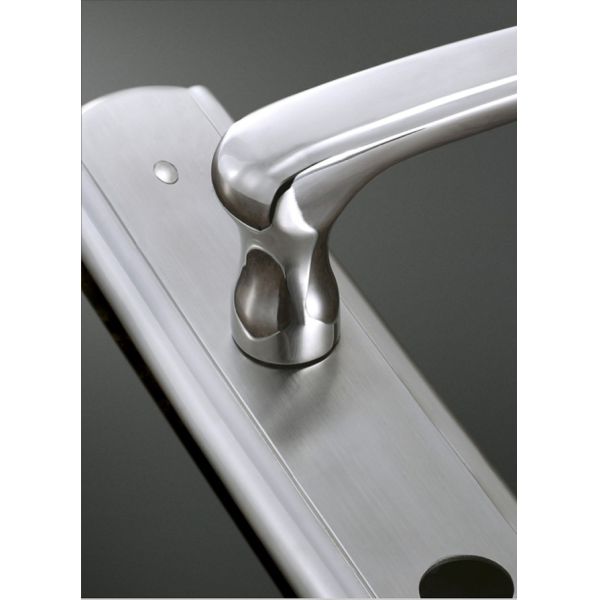 OEM Stainless Steel 304 Customized Door Handle with Plate
