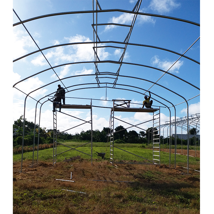 150 Micron Single Span Greenhouse Plastic Film Greenhouse Natural Ventilation Umbrella Roof Vent