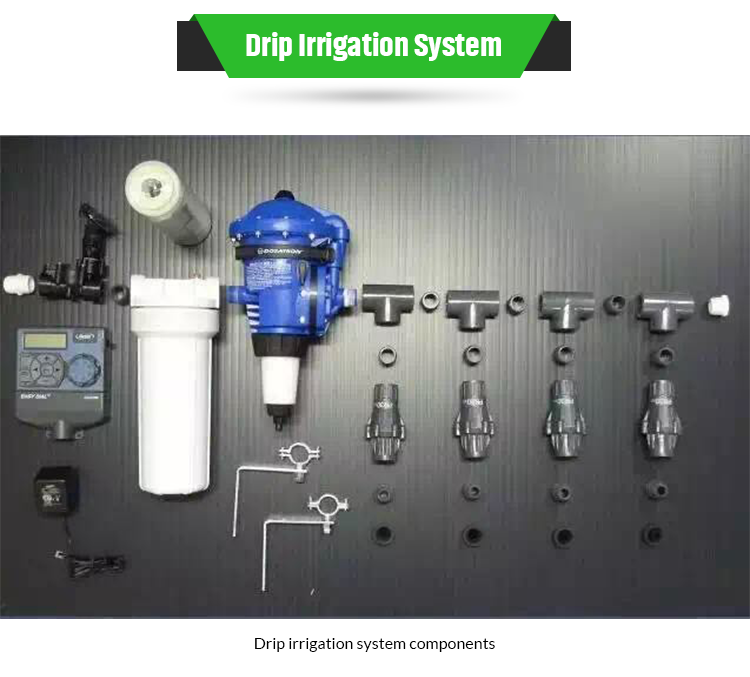 Vertical Moss Garden Green Plant Wall Panel Finishing Not Coated Per square meter 4