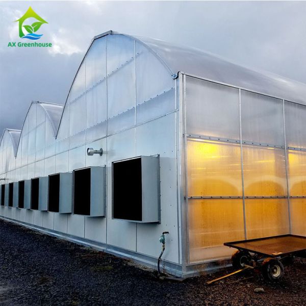 Glass Cover Blackout Multi Span Greenhouse Gutter Connect Strawberry Plant Greenhouse