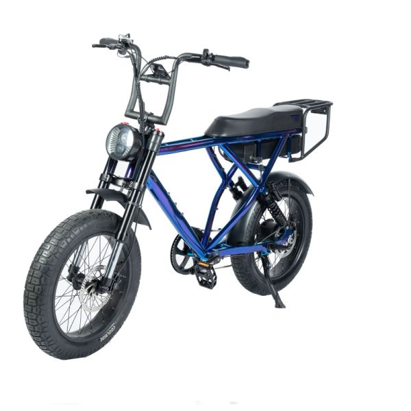 Customized Mountain Electric Bike with Torque 30-50 Nm and 48V Voltage Beach Bikes Cruisers