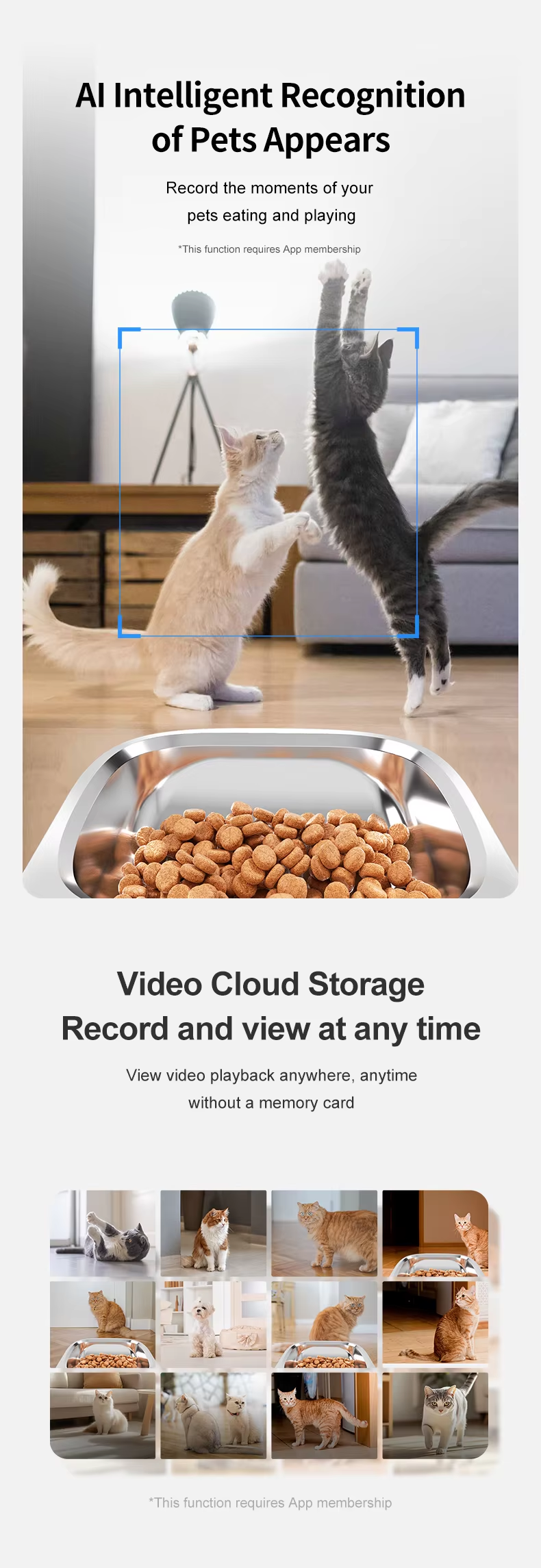 Intelligent 6L Large Capacity Dual Camera AI Dog Cat Food Dispenser Eco-Friendly Automatic Charging Plastic Bowl Feeder
