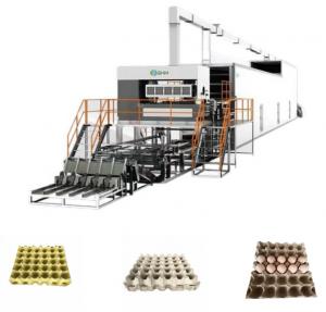 Quality Automatic Fruit Apple Tray Production Line Paper Pulp Molding Machine wholesale