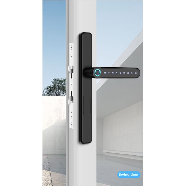 Black Ttlock Door Lock