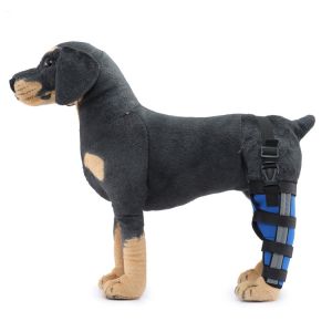 Quality Dog leg Brace wholesale