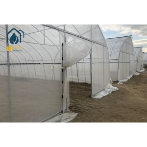 Quality Commercial Industrial Single Span High Tunnel Tomato Plastic Agricultural Greenhouse wholesale