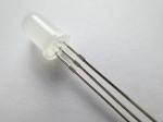 5mm bi color led common anode Hyper Red & Pure Green Water Clear