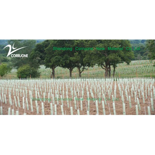Customizable and Waterproof Flexible PP Corrugated Plastic Tree Protector for Trees