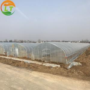 China Film Cover Metal Frame Greenhouse Easy to Install and Ideal for Growing Various Plants on sale