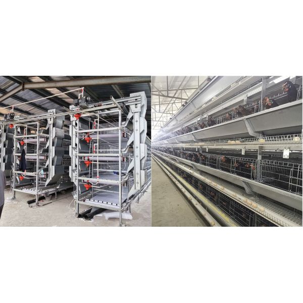 8.67m/Min Automatic Chicken Water Nipple Drinker Feeders System 1.2mm HDG Steel material