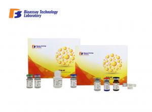 Quality Human NT - ProBNP ELISA Test Kit N - Terminal Pro - Brain Natriuretic Peptide wholesale