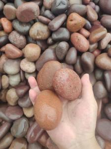 Quality 2-3cm Natural Pebble Stone For Garden High Chemical Resistance wholesale