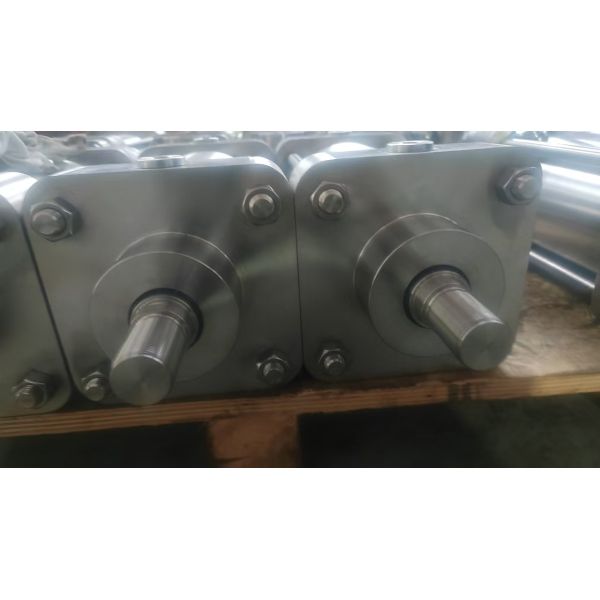 Stainless Steel Air Pneumatic Cylinder Acting Custom Standard