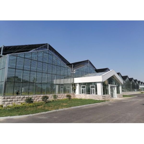 10x8 20 X 40 Big Span Venlo Multi Span Glass Greenhouse Growing Vegetable Show For Exhibition Hall