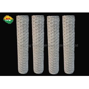 Quality Lightweight Hexagonal Wire Netting Galvanized For Craft Projects wholesale