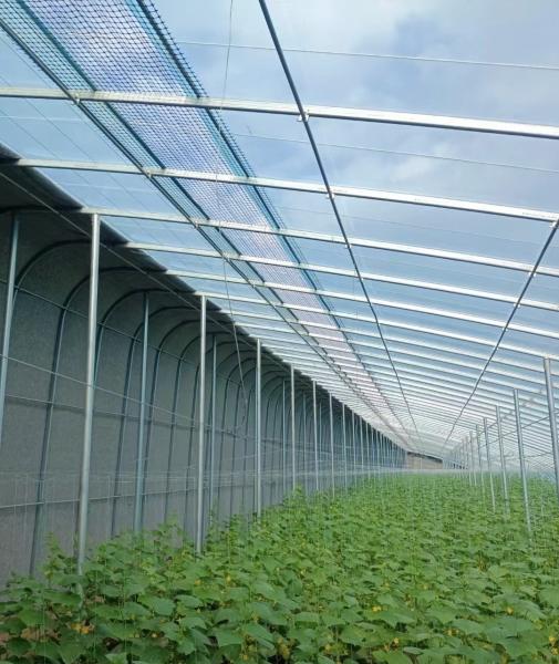 Tech Double Layer Agricultural Plastic Film Hydropoinics Greenhouses for