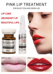 China Stalideram Brand Pink Lip Injection Treatment Serum Derma Microneedling Mesotherapy Lip Repair Essence on sale