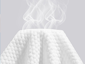 Disposable SPA Towels