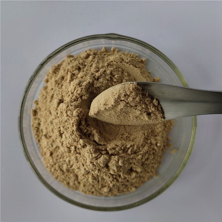 wholesale antioxidants softgel capsules graviola extract with best price