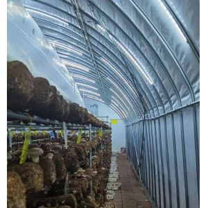 Quality Modern Sunlight Glass Greenhouse with Automatic Irrigation System wholesale