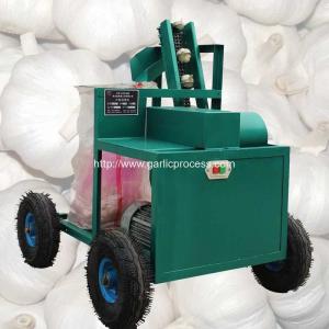 Quality Automatic Discharging Fresh Garlic Root and Leaf Cutting Machine wholesale