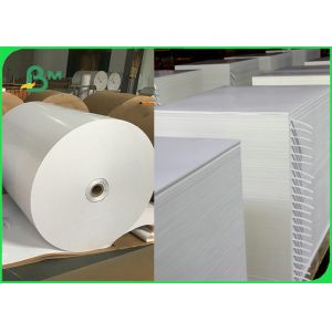 Quality 300gsm + 15gPE Biodegradable Food Container Cardboard 100% Harmless wholesale