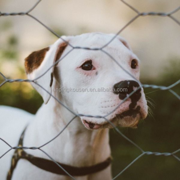 Hot Dipped 2.5mm 15cm 20cm Hole Size 1.2x100m 10 Lines Fixed Knot Deer Fence Field Fence