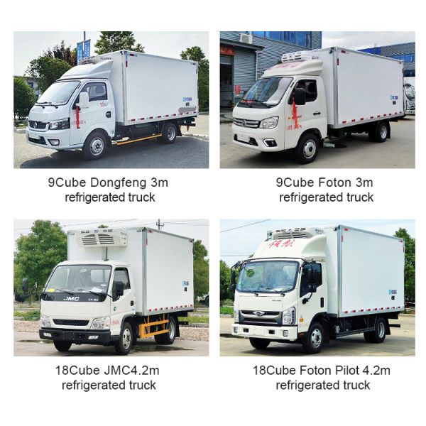Isuzu 4X2 Commercial Refrigerated Truck 5ton Capacity 150-250hp Horsepower 500-1000Nm Maximum Torque for Commercial Transport