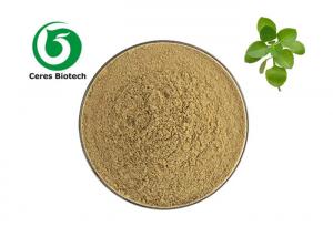 Quality Natural Origanum Vulgare Herb Extract Powder For Health Care TLC wholesale