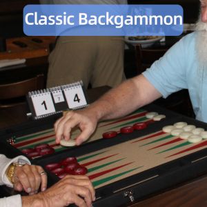 Stone Custom Backgammon Game Pieces Galalith Backgammon Pieces