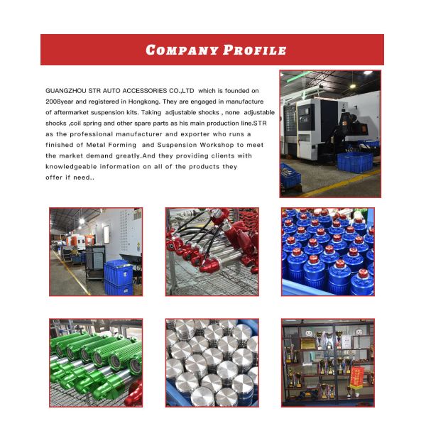 RTS Steering Shock Absorber STR Adjustable Shock Absorbers 4x4