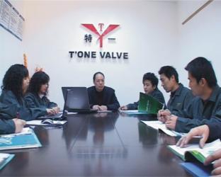 zhejiang teyi valve co.,ltd.