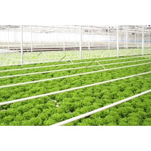 IP67 660nm 100W Quantum Board Led Grow Lights ETL