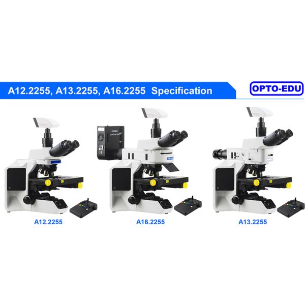 Opto Edu A16.2255 Laboratory Fluorescent Microscope Fully Motorized UV B G BX53 CX43 Level