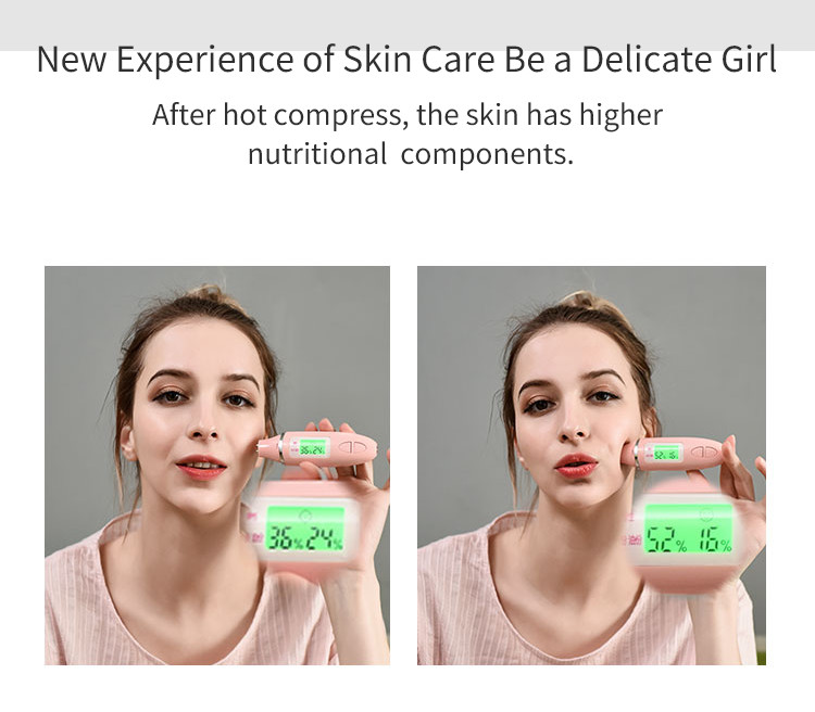 Facial Steamer Mist Hydrating Sheet Mask Moisturizing Cleansing Pores Disposable