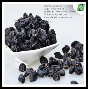 China Powder Formed Natural Organic Black Currant Extract on sale