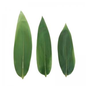 China Plates Decorative Green Fresh Packed Sushi Bamboo Leaves 15-30cm on sale