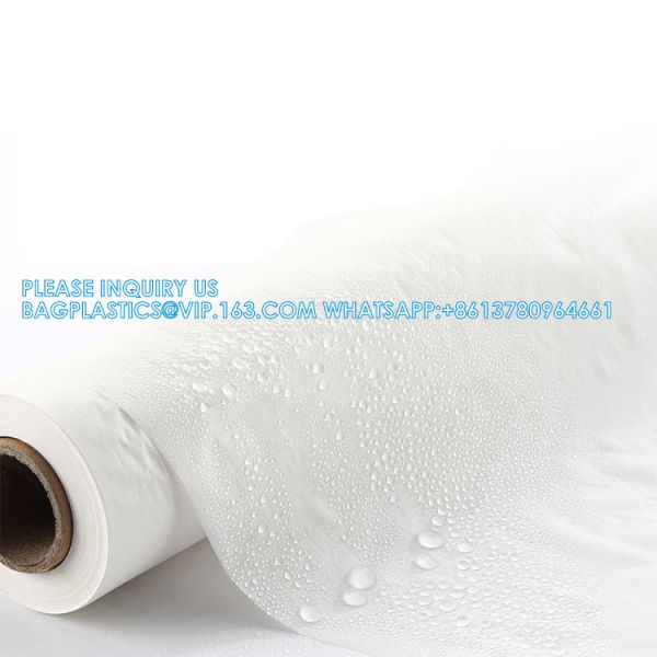 5m 10m 20m Food Oil Proof Tray Household Cake Silicone Paper In Roll With Metal Sawtooth Baking Paper Rolls