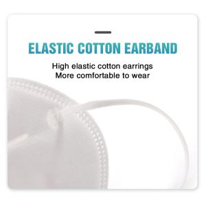 CE NB 2163 FFP2 Face Mask