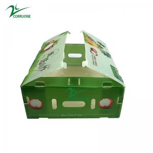 Quality Mangosteen PP Corrugated Box Glossy Apple Coroplast Box Customized wholesale
