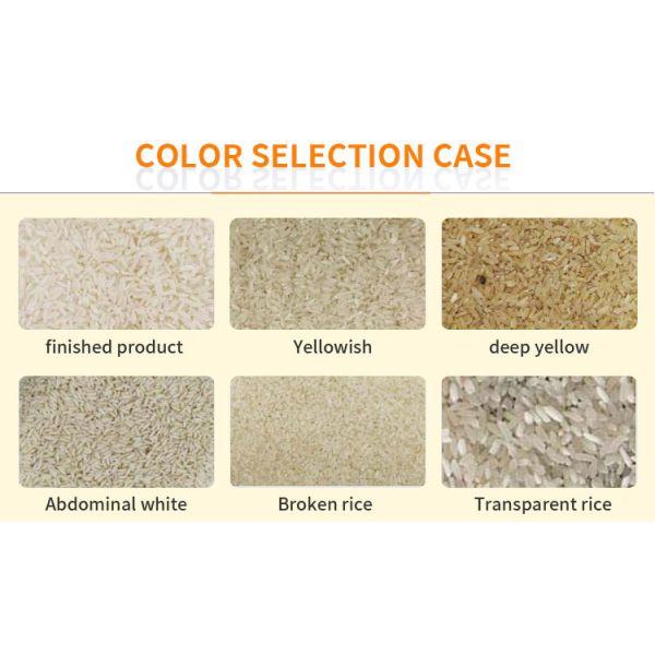 Sesame Soybean Sorghum Millet Wheat Corn Color Sorter With CCD