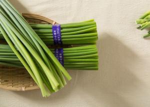 Quality 45cm Garlic Growing Green Stems wholesale