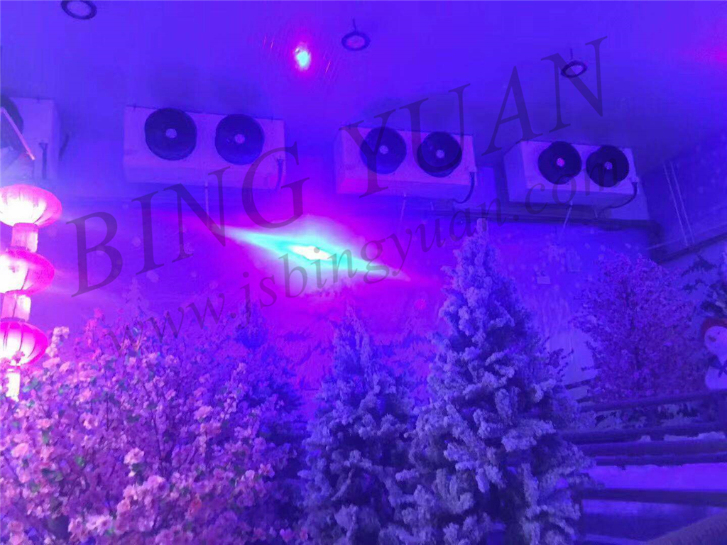 Snow Falling Machine for Indoor