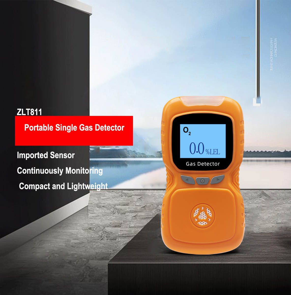 Portable Single Gas Detector